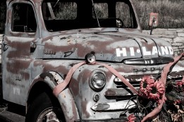 Awesome old truck. Looks like it could have been in a horror film. Jeepers Creepers perhaps? Near Mt Carmel Junction, UT, USA