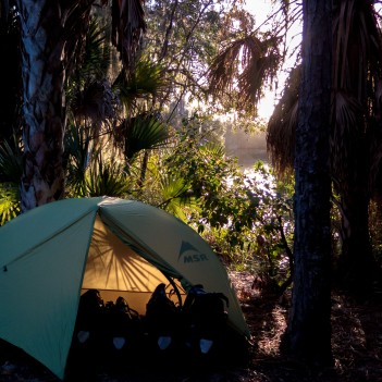 The penultimate night of camping. What a beautiful place to perch. Reece did however wakeup to the sound of a gator crunching it's dinner down by the river. Sarasota, FL, USA